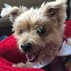 Meet your Posher, Connie